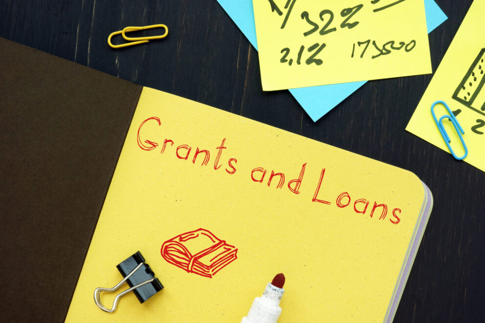 SME Financing: Loans Versus Grants