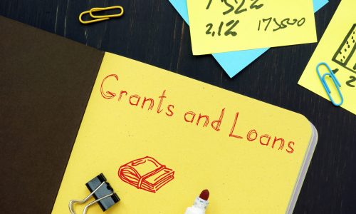 loans-v-grants-scaled
